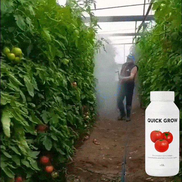 Îngrășământ Plante QuickGrow™
